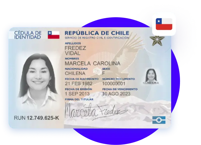 validación de antecedentes judiciales chile